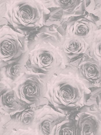 玫瑰花印花华亿平台图片