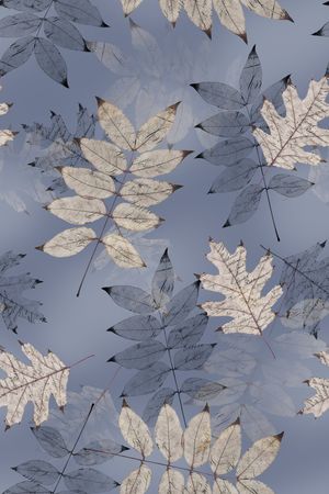 彩底花卉印花华亿平台图片