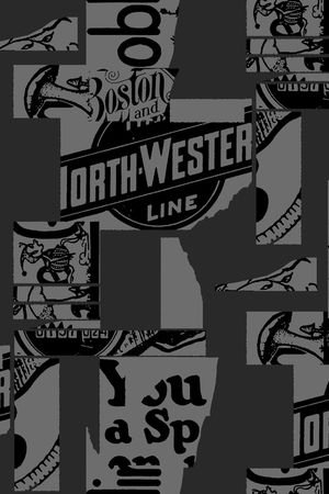 字母印花华亿平台图片