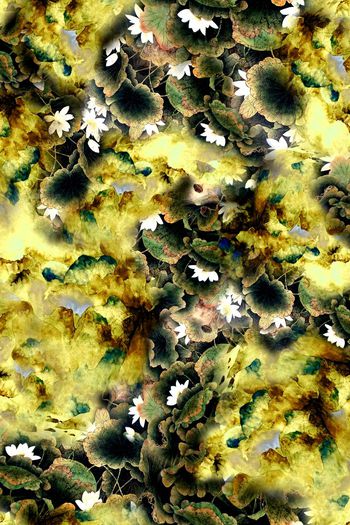 150776-wl4-0263F配色5