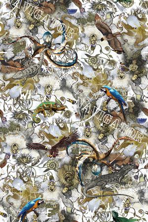 航海印花华亿平台图片