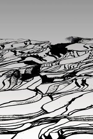 肌理印花华亿平台图片