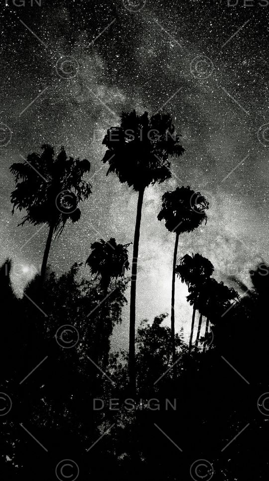 星空印花华亿平台图片