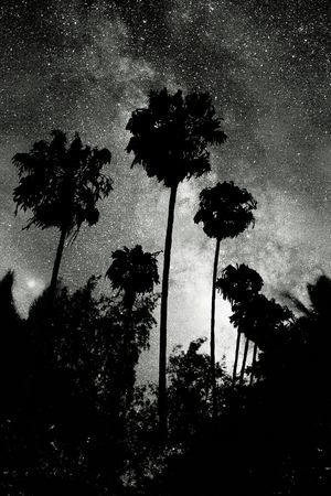 星空印花华亿平台图片