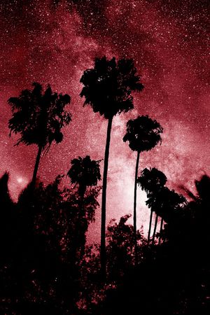 星空印花华亿平台图片