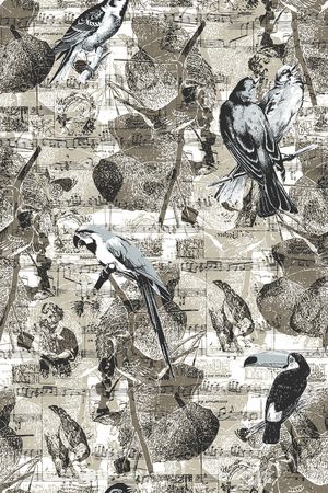 字母印花华亿平台图片