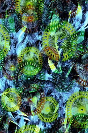 绚丽印花华亿平台图片