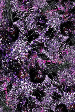 摄影写实花卉印花华亿平台图片