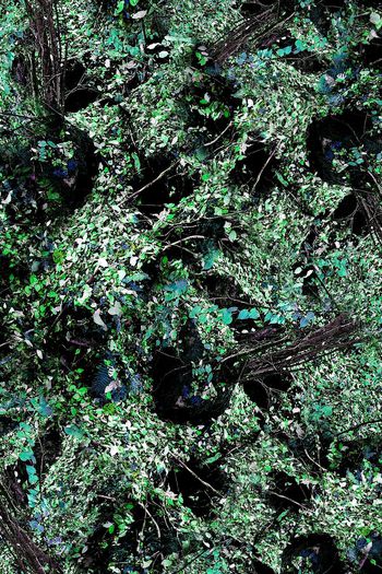 150816-wl4-0269F配色3