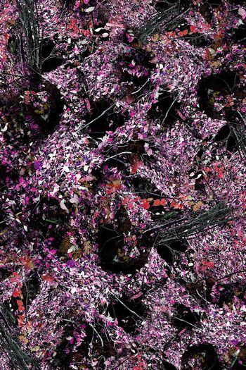 150817-wl4-0269F配色4