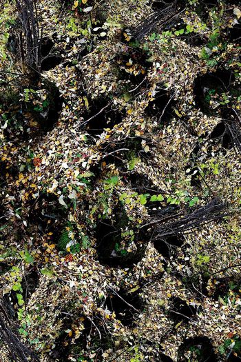 150818-wl4-0269F配色5