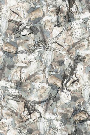 恐龙印花华亿平台图片