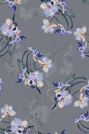 蝴蝶兰印花华亿平台图片