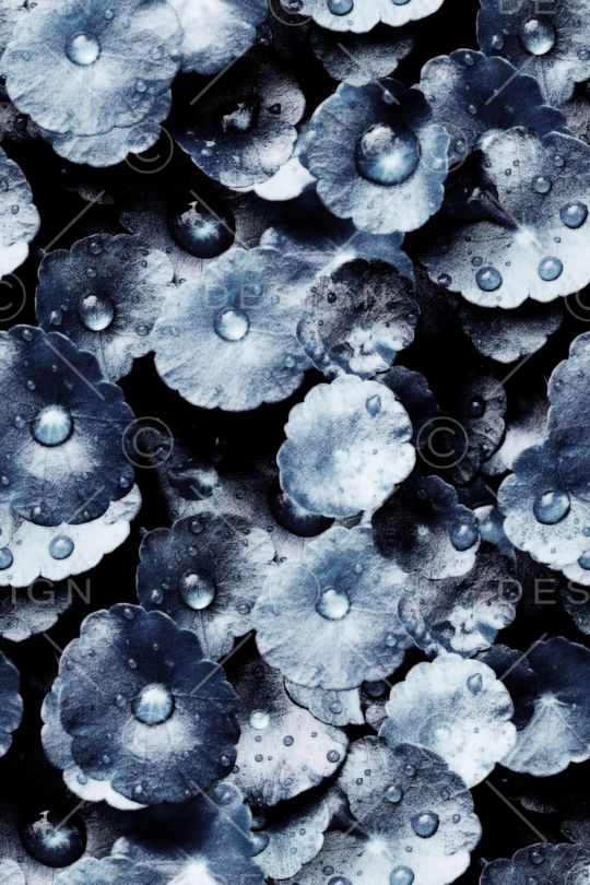 男装印花华亿平台图片