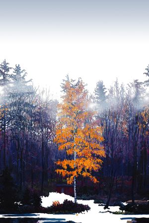 树林印花华亿平台图片