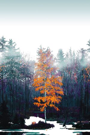 树林印花华亿平台图片