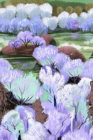 树林印花华亿平台图片