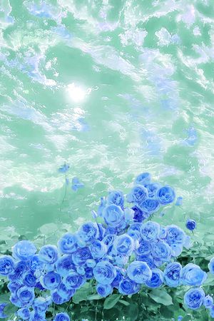 蔷薇花印花华亿平台图片