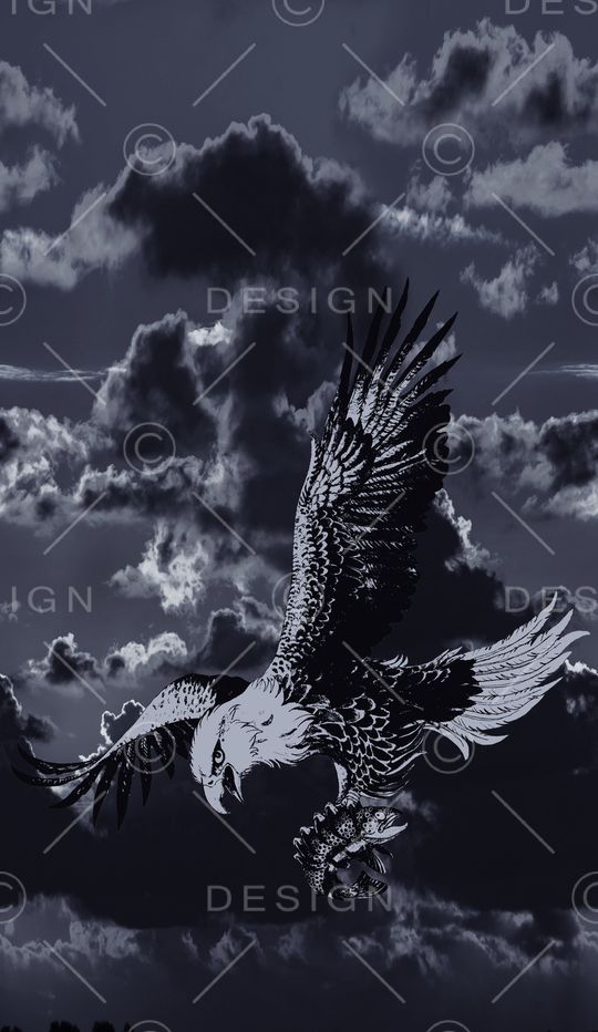 老鹰印花华亿平台图片