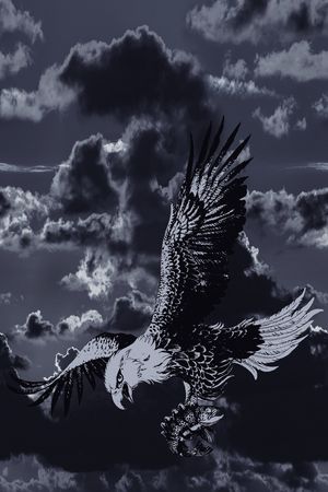 老鹰印花华亿平台图片