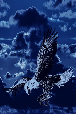 树林印花华亿平台图片