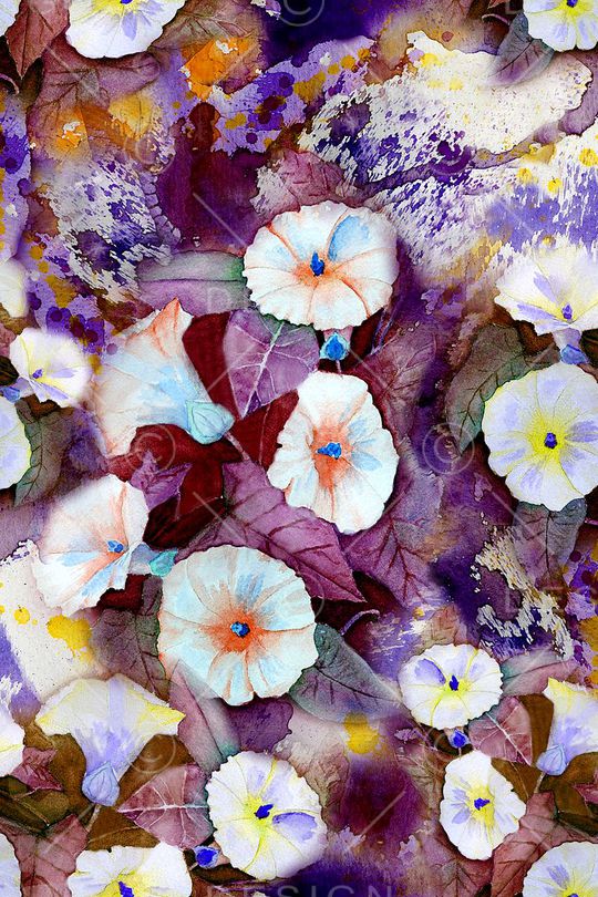 牵牛花印花华亿平台图片