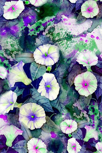 150854-wl4-0275F缩小配色2