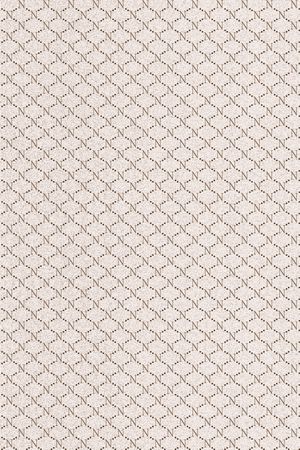 字母印花华亿平台图片