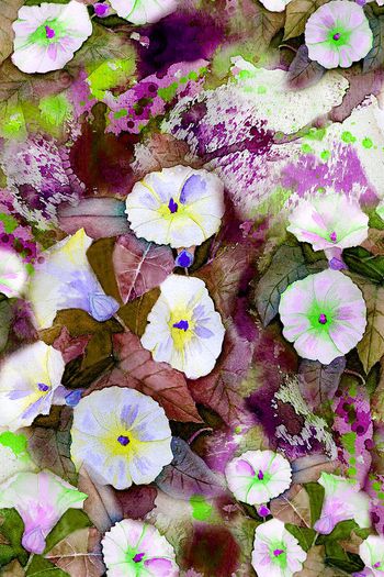 150856-wl4-0275F缩小配色4