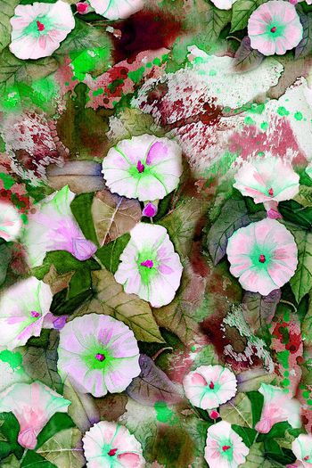 150857-wl4-0275F缩小配色5