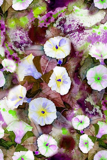 150860-wl4-0275F配色3