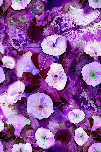 150862-wl4-0275F配色5