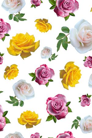 照片花卉印花华亿平台图片