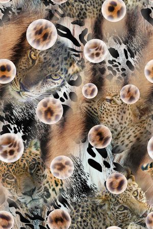 豹纹印花华亿平台图片