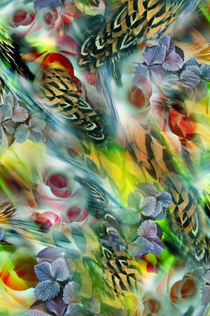 羽毛印花华亿平台图片