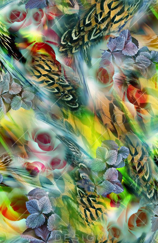 羽毛印花华亿平台图片