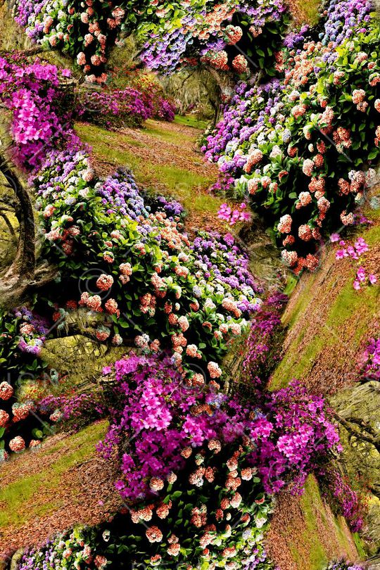 花海印花华亿平台图片