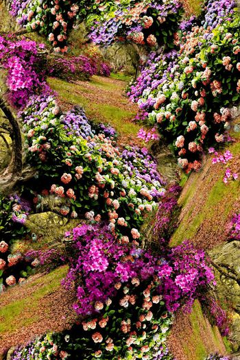 150911-wl4-0283F副本