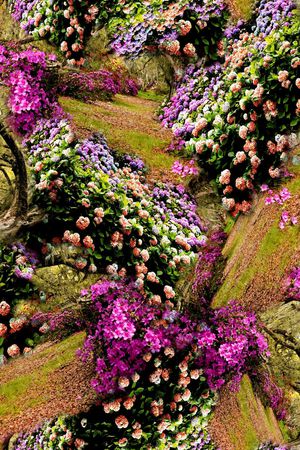 花海印花华亿平台图片