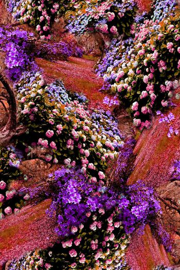 150912-wl4-0283F配色1