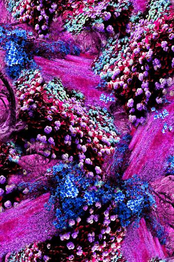 150913-wl4-0283F配色2