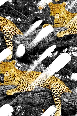 羽绒服印花华亿平台图片