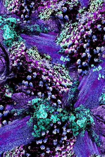 150914-wl4-0283F配色3