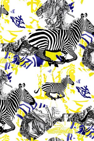 斑马印花华亿平台图片