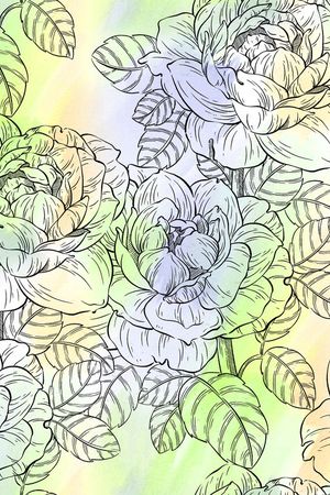 渐变印花华亿平台图片