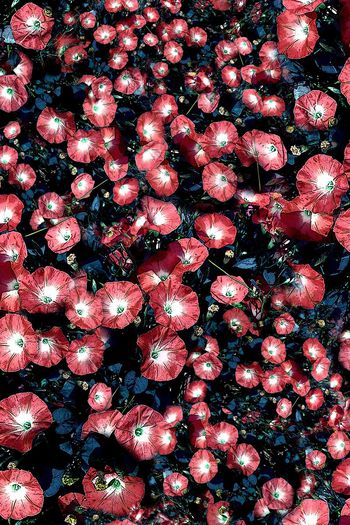 150953-wl4-0290F副本