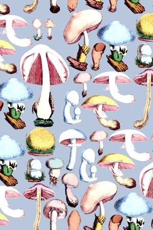 蘑菇印花华亿平台图片