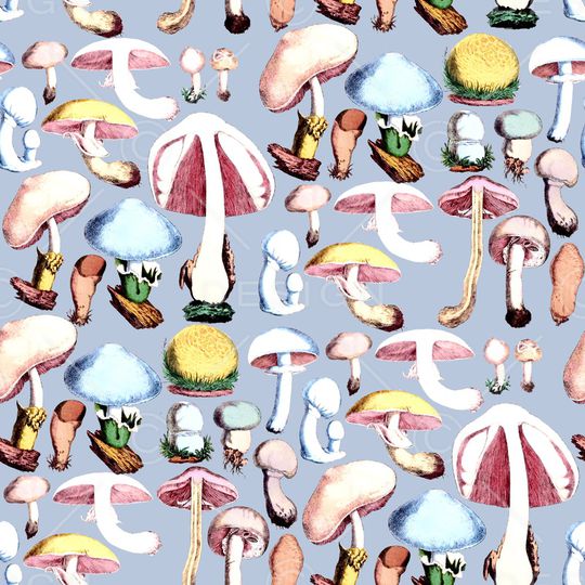 蘑菇印花华亿平台图片