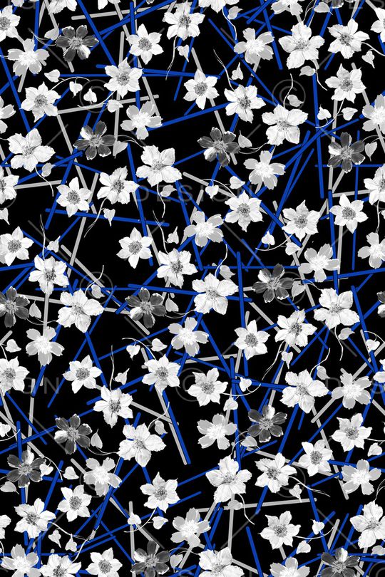 黑底花卉印花华亿平台图片