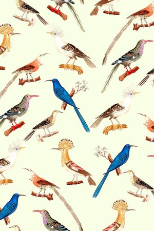 鸟印花华亿平台图片